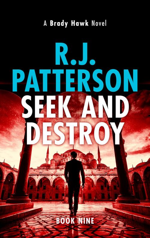 Cover of the book Seek and Destroy by R.J. Patterson, Green E-Books