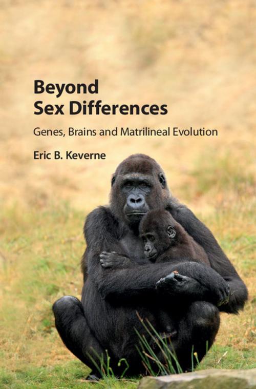 Cover of the book Beyond Sex Differences by Eric B. Keverne, Cambridge University Press