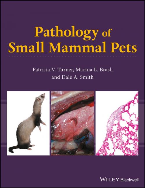 Cover of the book Pathology of Small Mammal Pets by Patricia V. Turner, Marina L. Brash, Dale A. Smith, Wiley