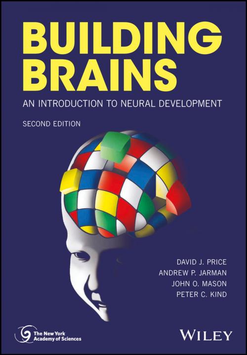 Cover of the book Building Brains by David J. Price, John O. Mason, Andrew P. Jarman, Peter C. Kind, Wiley