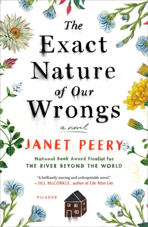 Cover of the book The Exact Nature of Our Wrongs by Janet Peery, St. Martin's Press