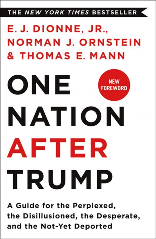 Cover of the book One Nation After Trump by E.J. Dionne Jr., Norman J. Ornstein, Thomas E. Mann, St. Martin's Press