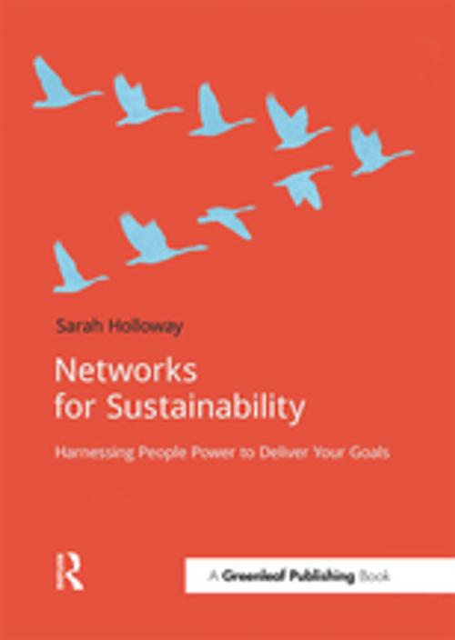 Cover of the book Networks for Sustainability by Sarah Holloway, Taylor and Francis