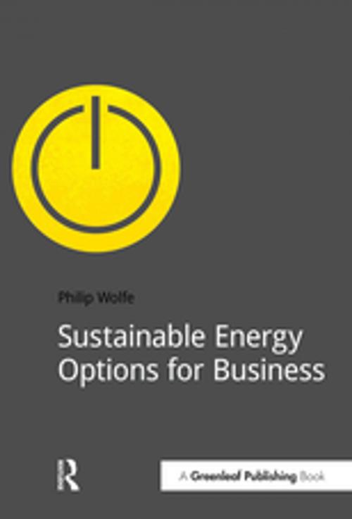 Cover of the book Sustainable Energy Options for Business by Philip Wolfe, Taylor and Francis