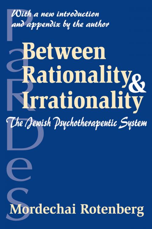 Cover of the book Between Rationality and Irrationality by Mordechai Rotenberg, Taylor and Francis