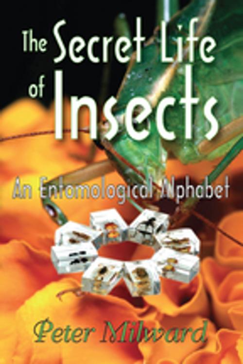 Cover of the book The Secret Life of Insects by Peter Milward, Taylor and Francis