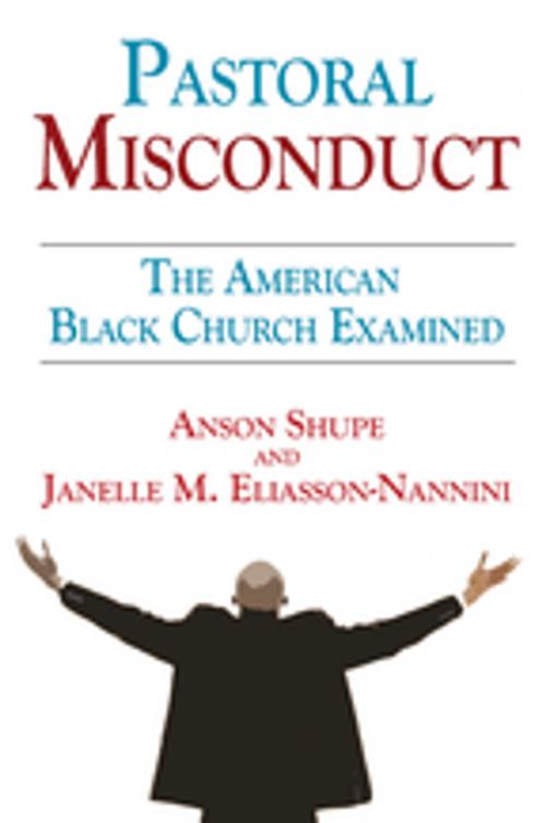 Cover of the book Pastoral Misconduct by Janelle M. Eliasson-Nannini, Taylor and Francis