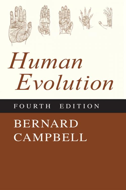 Cover of the book Human Evolution by Bernard Campbell, Taylor and Francis