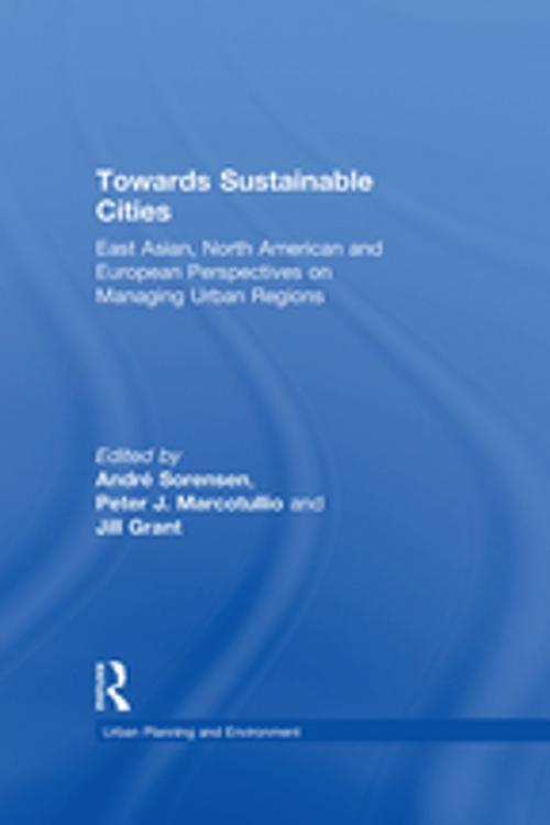 Cover of the book Towards Sustainable Cities by Peter J. Marcotullio, Taylor and Francis