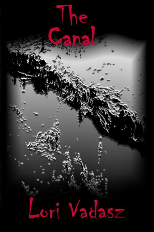 Cover of the book The Canal by Lori Vadasz, Lori Vadasz