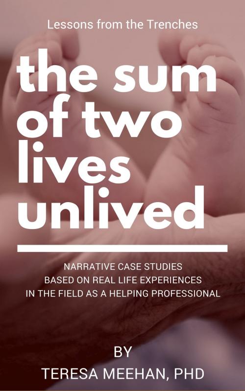 Cover of the book The Sum of Two Lives Unlived: Lessons from the Trenches Case Studies Series by Teresa Meehan, Teresa Meehan