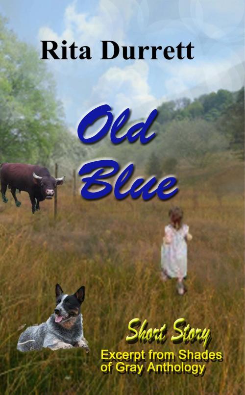 Cover of the book Old Blue by Rita Durrett, Rita Durrett