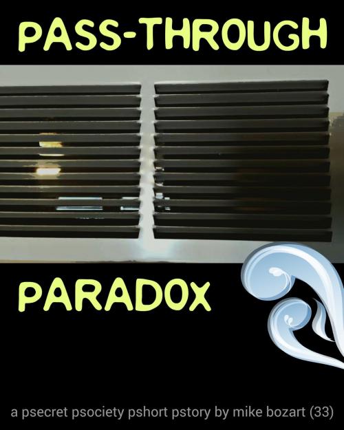 Cover of the book Pass-Through Paradox by Mike Bozart, Mike Bozart