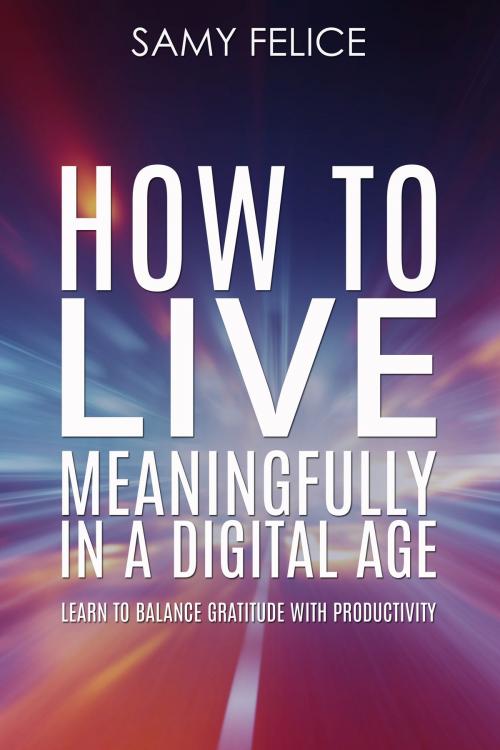 Cover of the book How to Live Meaningfully in a Digital Age by Samy Felice, Samy Felice