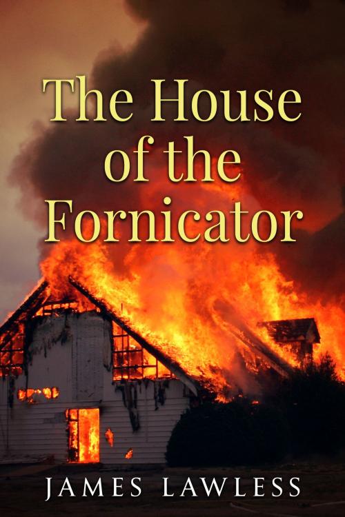 Cover of the book The House of the Fornicator by James Lawless, James Lawless