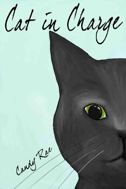 Cover of the book Cat in Charge by Candy Rae, Candy Rae