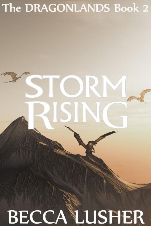 Cover of the book Storm Rising by Becca Lusher, Becca Lusher