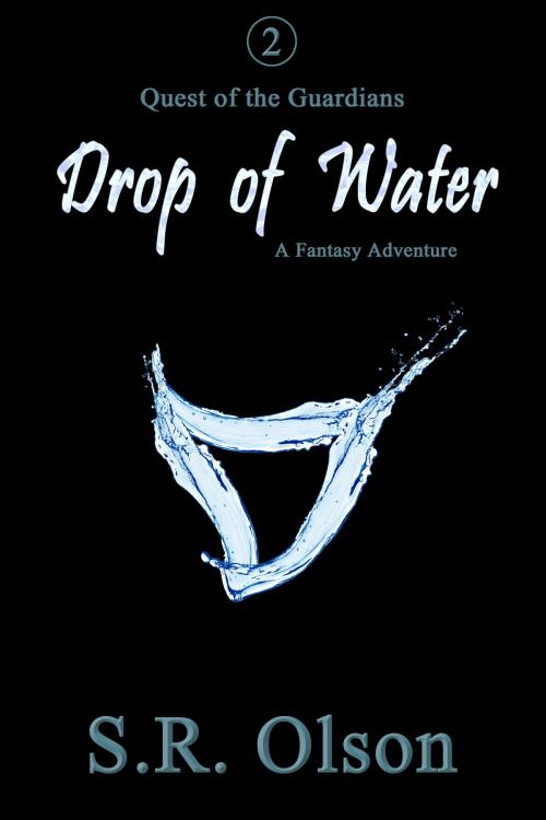 Cover of the book Drop of Water: A Fantasy Adventure by S.R. Olson, S.R. Olson