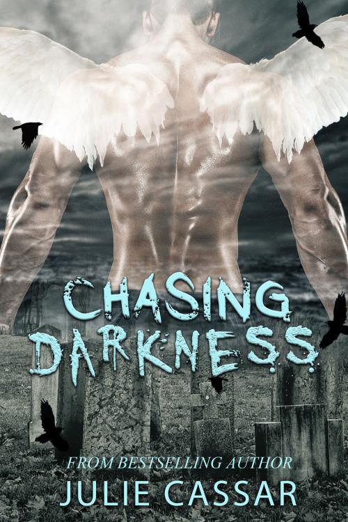 Cover of the book Chasing Darkness by Julie Cassar, Julie Cassar
