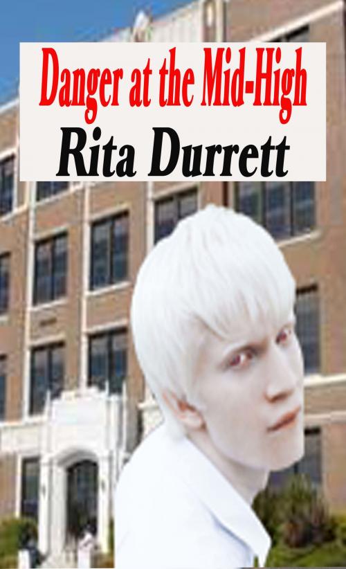 Cover of the book Danger at the Mid-High by Rita Durrett, Rita Durrett