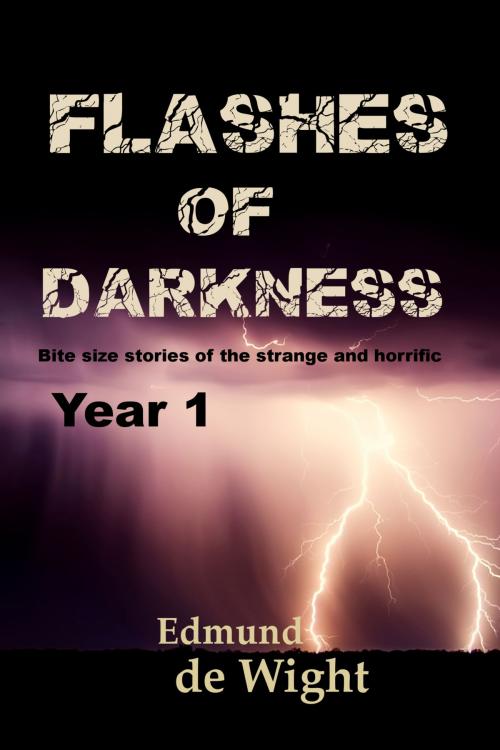Cover of the book Flashes of Darkness: Year 1 by Edmund de Wight, Ionosphere Press