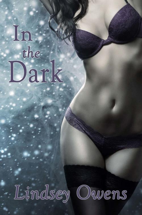 Cover of the book In the Dark by Lindsey Owens, Lindsey Owens