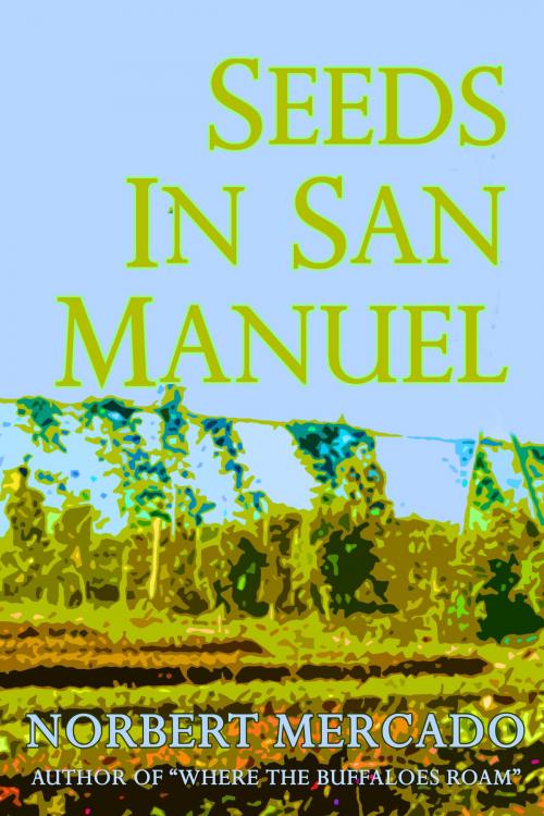 Cover of the book Seeds In San Manuel by Norbert Mercado, Norbert Mercado