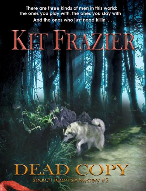 Cover of the book Dead Copy by Kit Frazier, Kit Frazier
