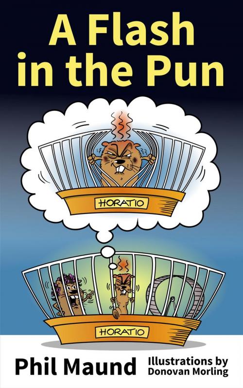 Cover of the book A Flash in the Pun by Phil Maund, Phil Maund