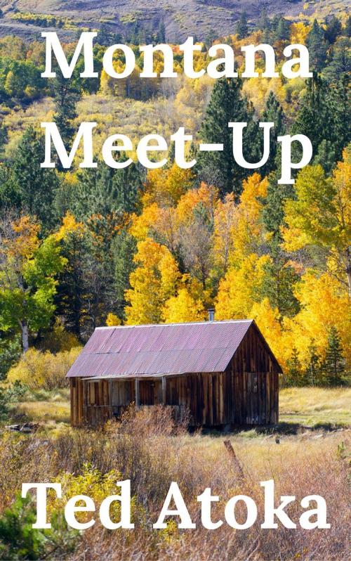 Cover of the book Montana Meetup by Ted Atoka, Huntington House Press