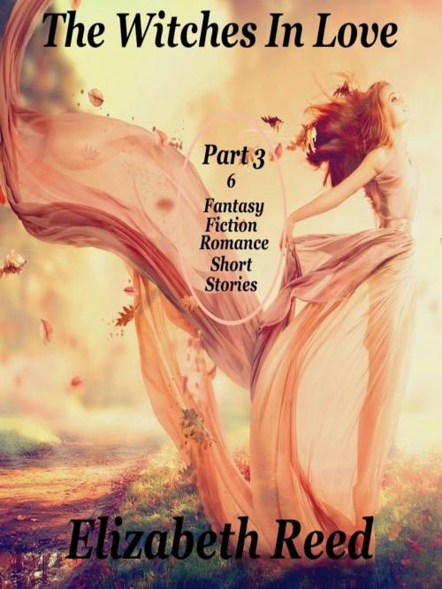 Cover of the book The Witches In Love Part 3: 6 Fantasy Fiction Romance Short Stories by Elizabeth Reed, LB Books