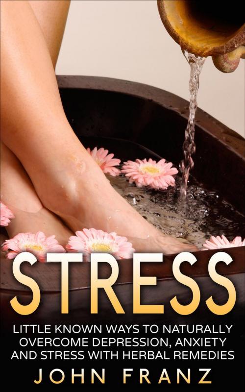 Cover of the book Stress - Little Known Ways to Naturally Overcome Depression, Anxiety and Stress with Herbal Remedies by John Franz, John Franz