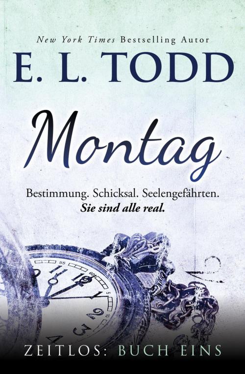 Cover of the book Montag by E. L. Todd, E. L. Todd