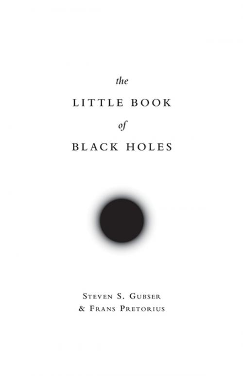 Cover of the book The Little Book of Black Holes by Frans Pretorius, Steven S. Gubser, Princeton University Press