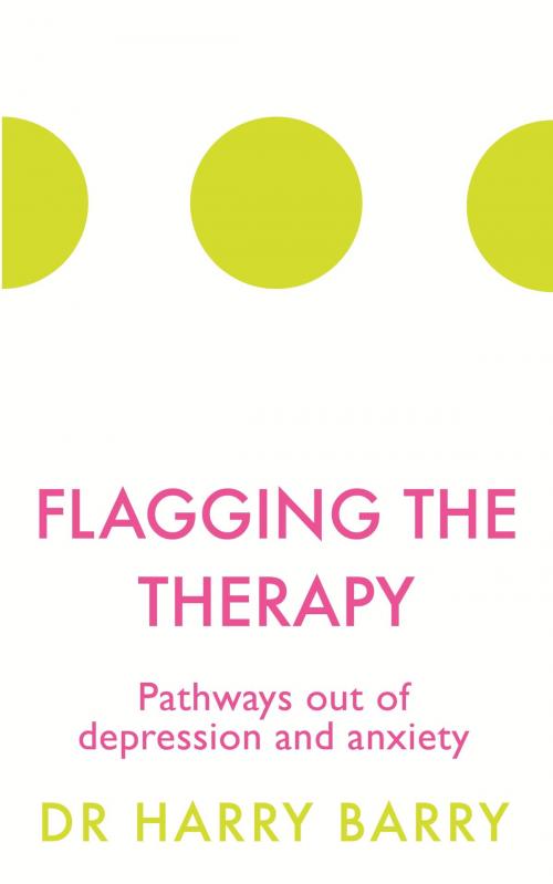 Cover of the book Flagging the Therapy by Harry Barry, Orion Publishing Group
