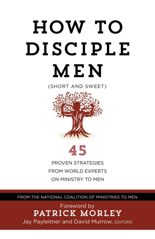 Cover of the book How to Disciple Men (Short and Sweet) by The National Coalition of Ministries to Men, BroadStreet Publishing Group, LLC