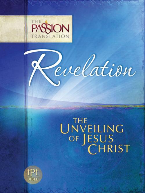 Cover of the book Revelation by Brian Simmons, BroadStreet Publishing Group, LLC