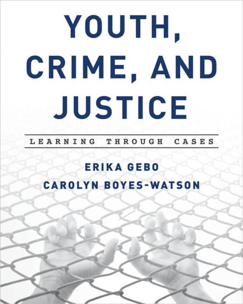 Cover of the book Youth, Crime, and Justice by Erika Gebo, Carolyn Boyes-Watson, Rowman & Littlefield Publishers