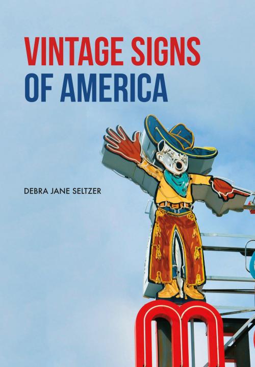 Cover of the book Vintage Signs of America by Debra Jane Seltzer, Amberley Publishing