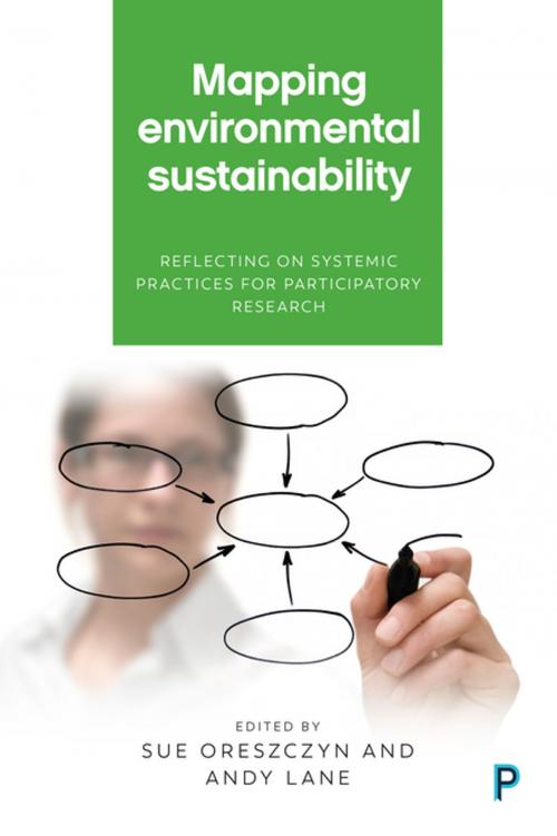 Cover of the book Mapping environmental sustainability by , Policy Press