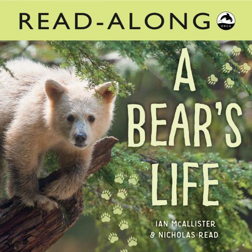Cover of the book A Bear's Life Read-Along by Ian McAllister, Nicholas Read, Orca Book Publishers