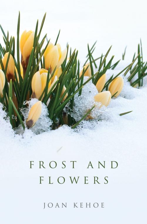 Cover of the book Frost and Flowers by Joan Kehoe, Essence Publishing