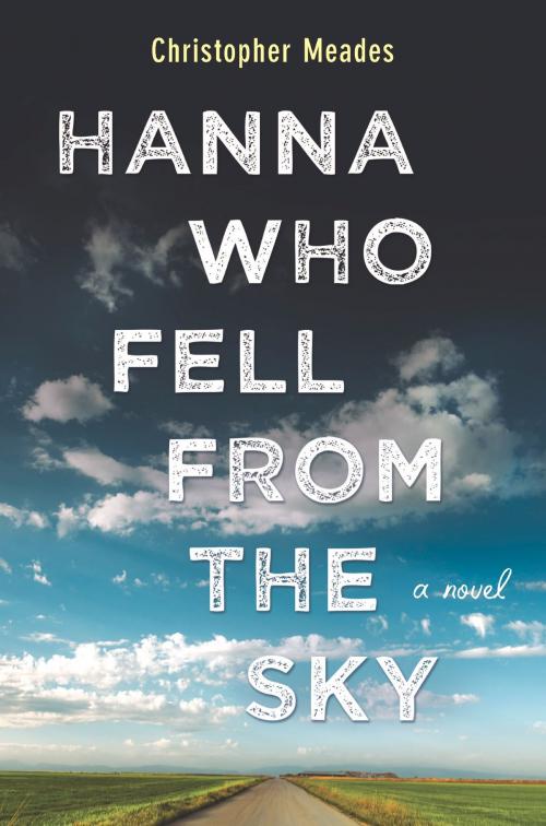 Cover of the book Hanna Who Fell from the Sky by Christopher Meades, Park Row Books