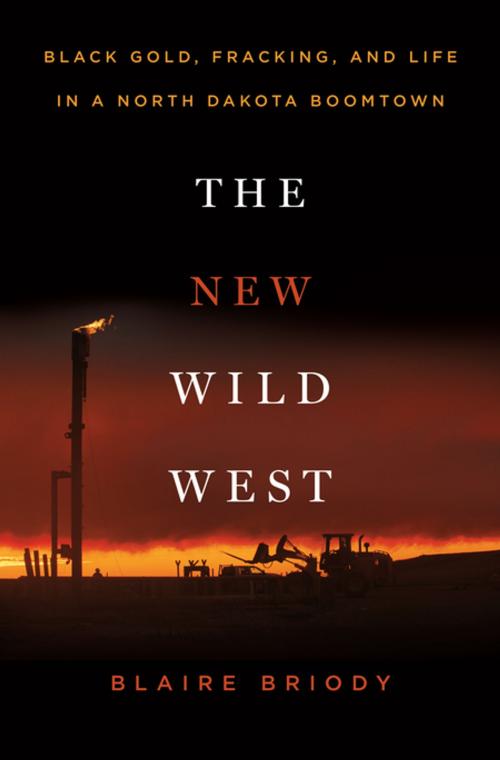 Cover of the book The New Wild West by Blaire Briody, St. Martin's Press