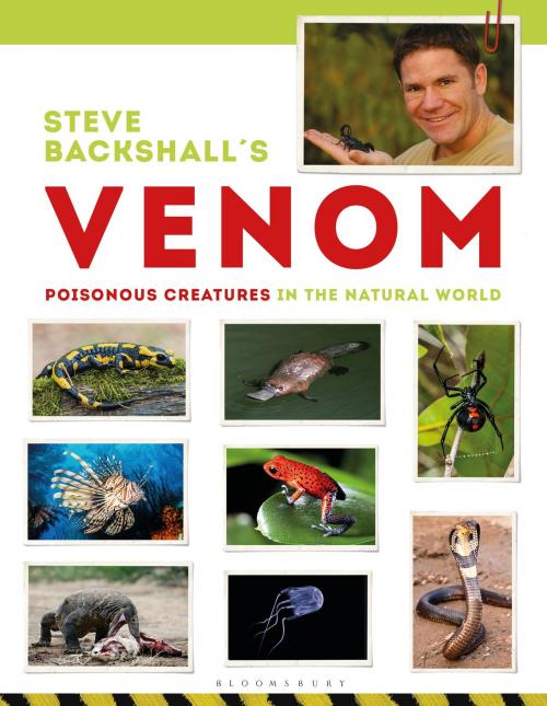 Cover of the book Steve Backshall's Venom by Steve Backshall, Bloomsbury Publishing