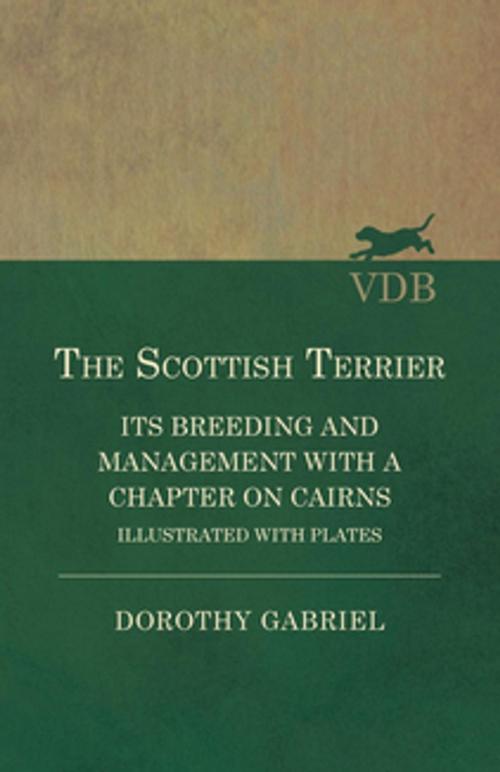 Cover of the book The Scottish Terrier - It's Breeding and Management With a Chapter on Cairns - Illustrated with plates by Dorothy Gabriel, Read Books Ltd.