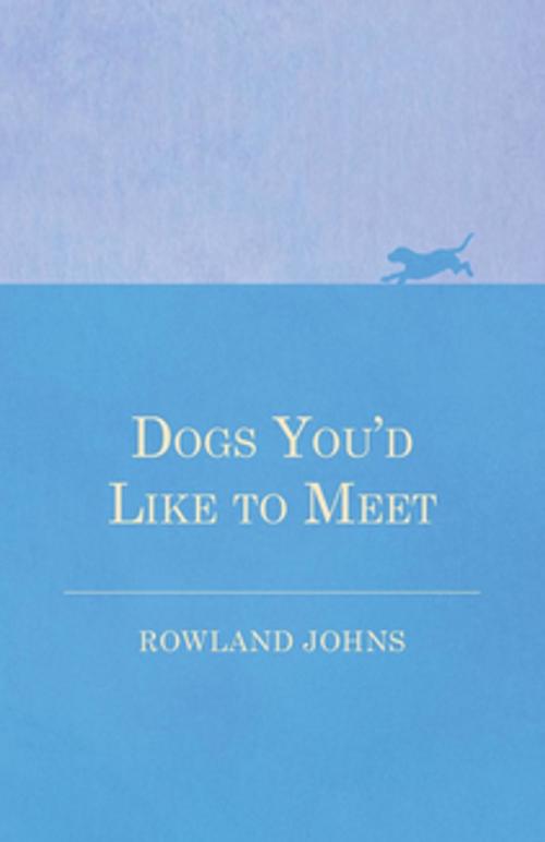 Cover of the book Dogs You'd Like to Meet by Rowland Johns, Read Books Ltd.