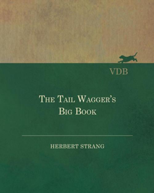Cover of the book The Tail Wagger's Big Book by Herbert Strang, Read Books Ltd.