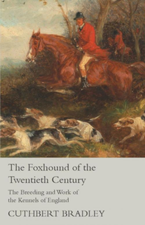 Cover of the book The Foxhound of the Twentieth Century - The Breeding and Work of the Kennels of England by Cuthbert Bradley, Read Books Ltd.