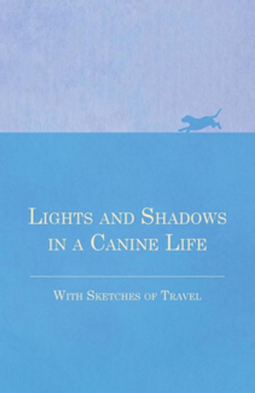 Cover of the book Lights and Shadows in a Canine Life - With Sketches of Travel by Anon., Read Books Ltd.